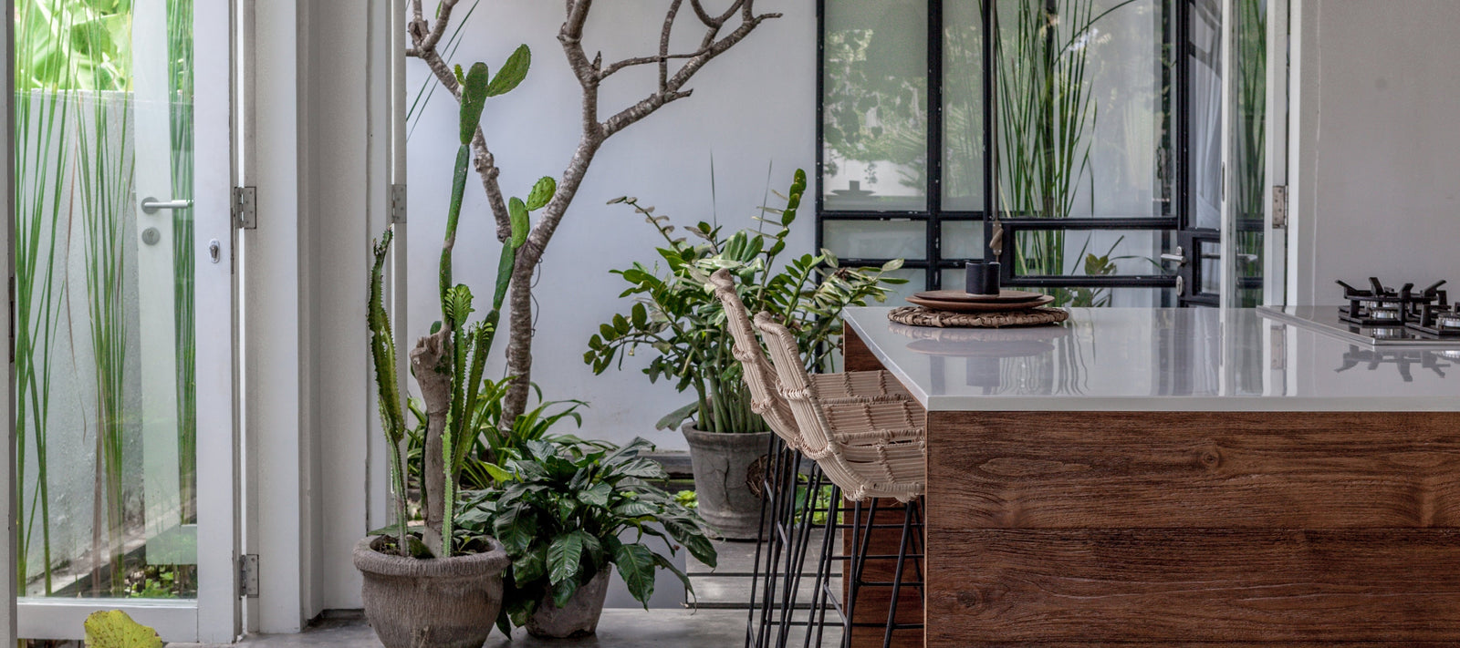 Australian Rattan Furniture - Best Sellers - Harvest Design Living