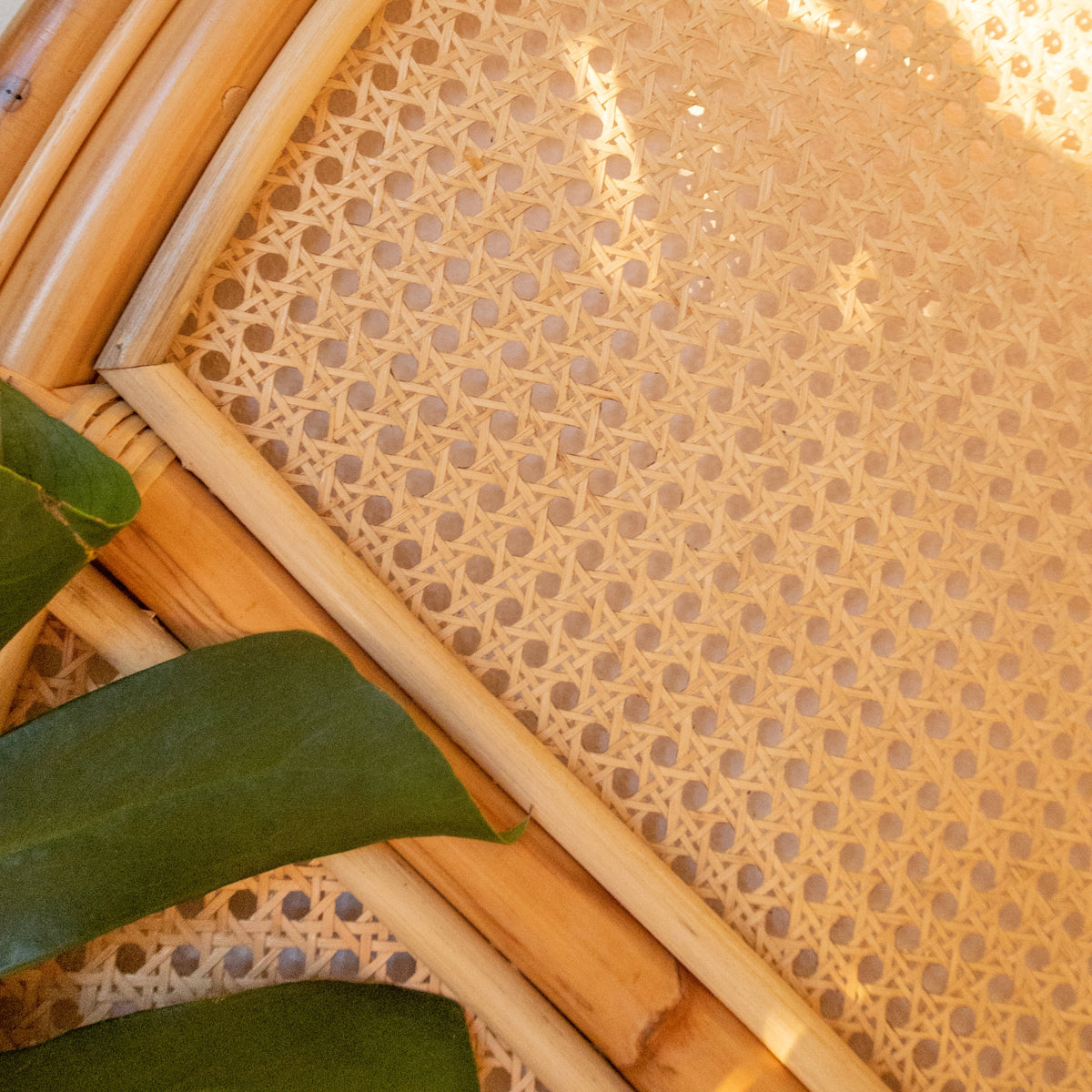 Sunrise Rattan Bed Head-HarvestDesignLiving